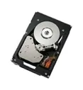 Жесткий диск IBM 2TB 7.2K NL SATA 3.5 HS HDD, 42D0782